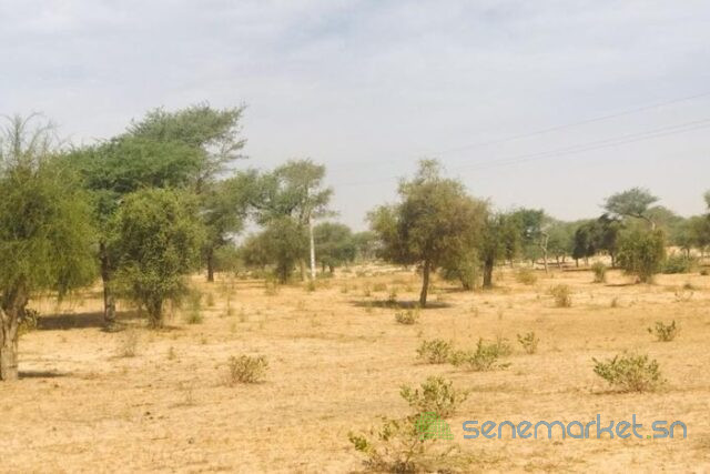 terrain-de-3-hectares-vers-koul-big-2
