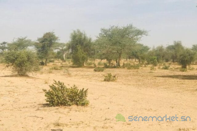 terrain-de-3-hectares-vers-koul-big-1