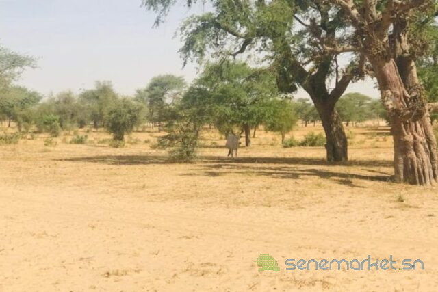 terrain-de-3-hectares-vers-koul-big-0