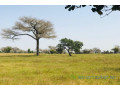 terrain-de-3-hectares-vers-ngoundiane-small-1