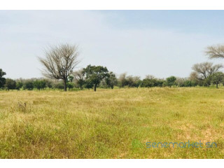 Terrain de 3 hectares vers Ngoundiane