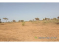 terrain-de-3-hectares-vers-thienaba-small-1