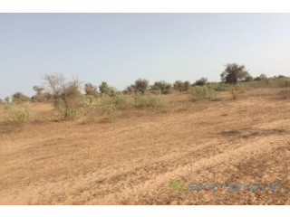 Terrain de 3 hectares vers Thiénaba