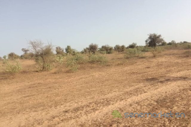 terrain-de-3-hectares-vers-thienaba-big-0