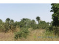 terrain-de-302-hectares-vers-notto-diobass-small-2