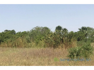 Terrain de 3,02 hectares vers Notto Diobass