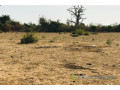 terrain-de-302-hectares-vers-sindia-small-2