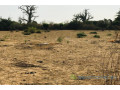 terrain-de-302-hectares-vers-sindia-small-0