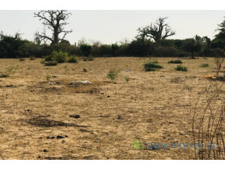 Terrain de 3,02 hectares vers Sindia