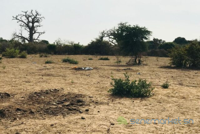 terrain-de-302-hectares-vers-sindia-big-1
