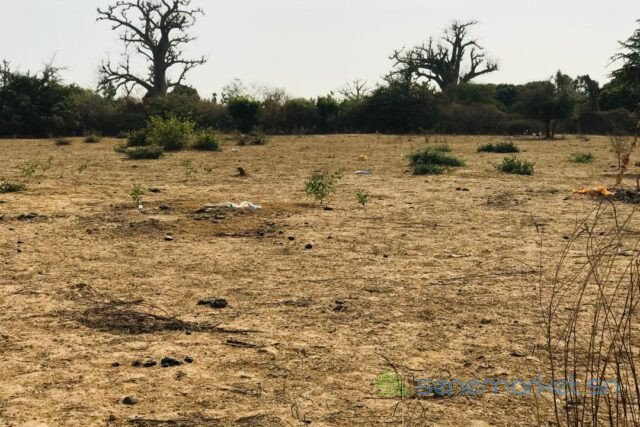 terrain-de-302-hectares-vers-sindia-big-0