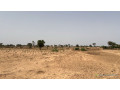 terrain-agricole-de-10-hectares-a-vendre-a-tassette-small-2