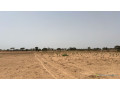 terrain-agricole-de-10-hectares-a-vendre-a-tassette-small-3