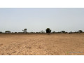 terrain-agricole-de-10-hectares-a-vendre-a-tassette-small-1