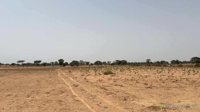 terrain-agricole-de-10-hectares-a-vendre-a-tassette-big-3