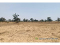 terrain-de-309-hectares-vers-notto-diobass-small-1
