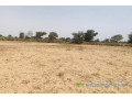 terrain-de-309-hectares-vers-notto-diobass-small-0