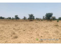 terrain-de-309-hectares-vers-notto-diobass-small-2