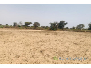 Terrain de 3,09 hectares vers Notto Diobass