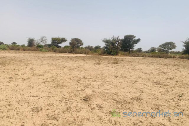 terrain-de-309-hectares-vers-notto-diobass-big-0
