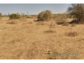 terrain-de-313-hectares-vers-darou-khoudoss-small-2