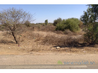 Terrain de 3,13 hectares vers Darou Khoudoss