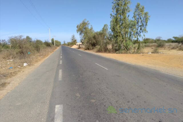 terrain-de-313-hectares-vers-darou-khoudoss-big-1