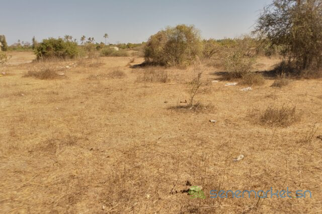 terrain-de-313-hectares-vers-darou-khoudoss-big-2