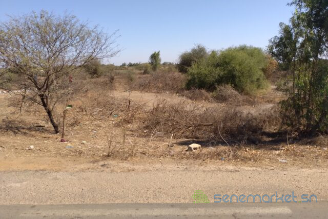 terrain-de-313-hectares-vers-darou-khoudoss-big-0