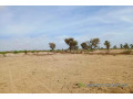 terrain-de-316-hectares-vers-notto-diobass-small-2
