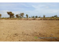 terrain-de-316-hectares-vers-notto-diobass-small-1
