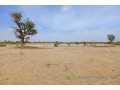 terrain-de-316-hectares-vers-notto-diobass-small-0