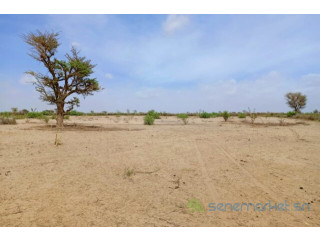Terrain de 3,16 hectares vers Notto Diobass
