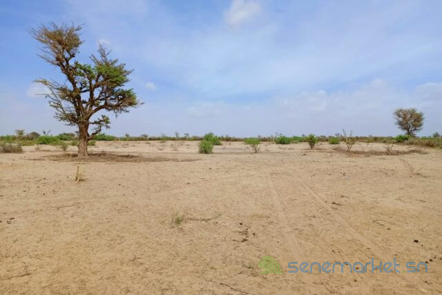 terrain-de-316-hectares-vers-notto-diobass-big-0