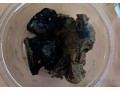 thiouraye-fassoukh-small-1