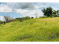 terrain-de-318-hectares-vers-keur-samba-kane-small-1