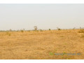 terrain-de-32-hectares-vers-ngueniene-small-2