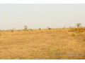 terrain-de-32-hectares-vers-ngueniene-small-0