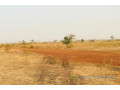 terrain-de-32-hectares-vers-ngueniene-small-1