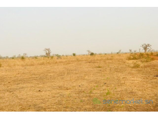 Terrain de 3,2 hectares vers Nguéniène
