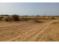 terrain-de-33-hectares-vers-nguidila-small-1