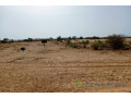 terrain-de-33-hectares-vers-nguidila-small-2