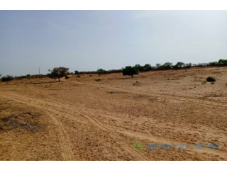 Terrain de 3,3 hectares vers Nguidila