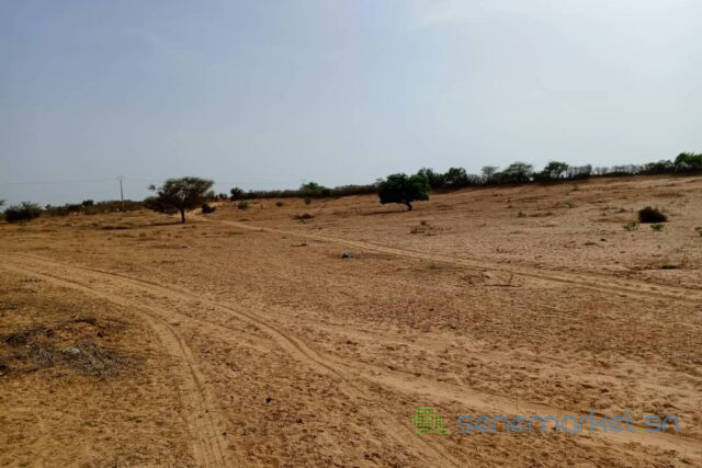 terrain-de-33-hectares-vers-nguidila-big-0