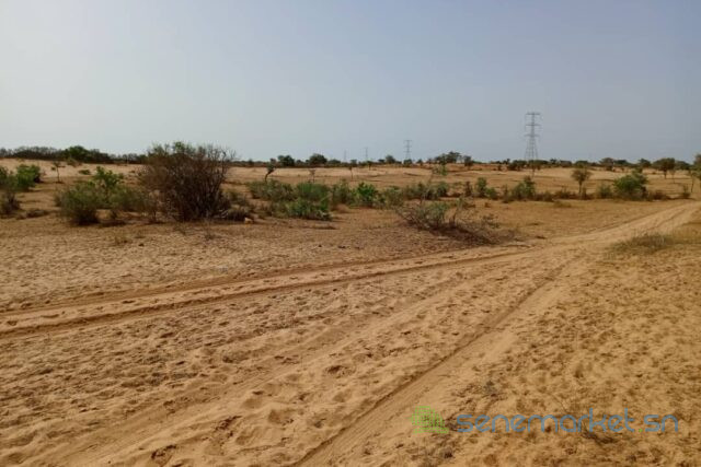 terrain-de-33-hectares-vers-nguidila-big-1