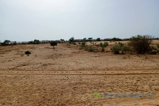 terrain-de-33-hectares-vers-nguidila-big-2