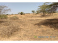 terrain-de-336-hectares-vers-darou-khoudoss-small-2