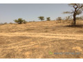 terrain-de-336-hectares-vers-darou-khoudoss-small-0