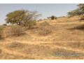 terrain-de-336-hectares-vers-darou-khoudoss-small-1