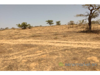 Terrain de 3,36 hectares vers Darou Khoudoss